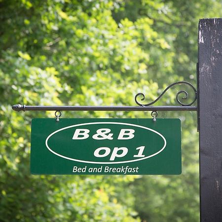 Bed & Breakfast Orvelte Екстер'єр фото