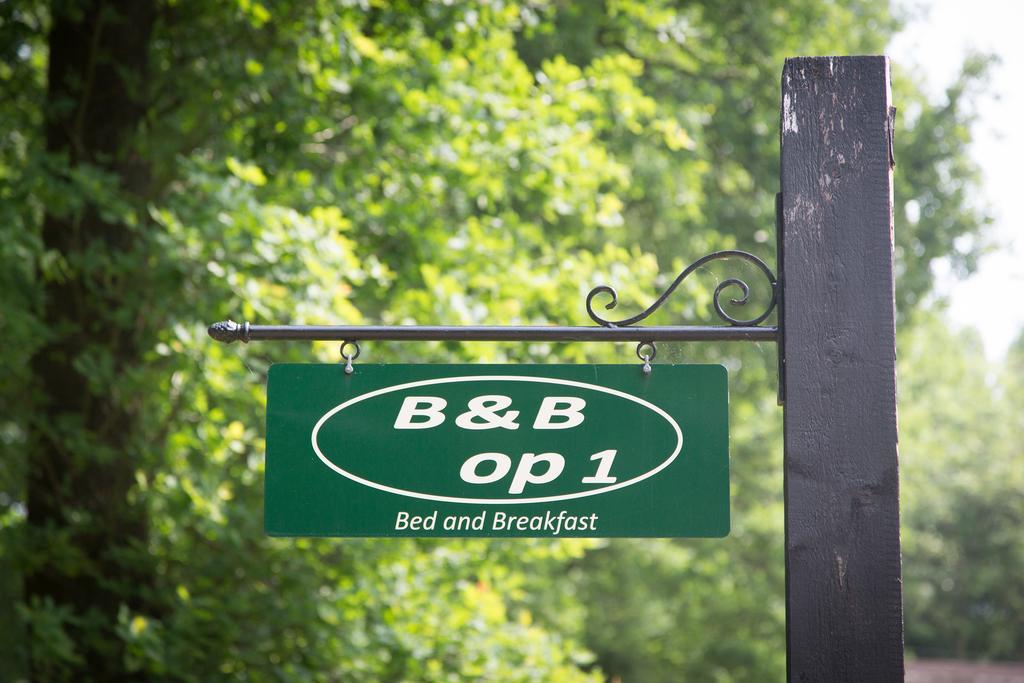 Bed & Breakfast Orvelte Екстер'єр фото
